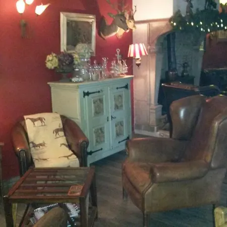 Han/Misafirhane De Brand