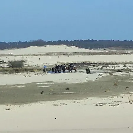 Han/Misafirhane De Brand *